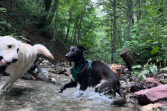 Arti & Elsa
